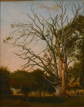 Woodland Scene with a Dead Tree, 1835. Creator: Johann Hermann Carmiencke.