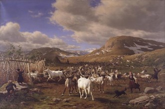 Driving a reindeer herd to milking, high mountains north of Roros, 1875. Creator: Carl Henrik Bogh.