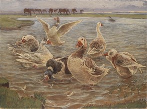 Geese on the Island of Saltholm, 1897. Creator: Theodor Esbern Philipsen.