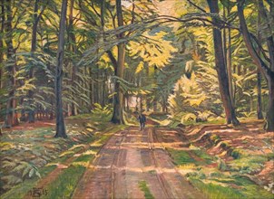 Forest road near Dyrnæs, 1915. Creator: Poul S. Christiansen.