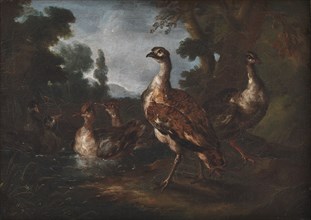 Landscape with Birds, 1665-1730. Creator: Angelo Maria Crivelli.