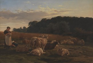 Flock of sheep, Faksinge Forest near Nysø, 1847-1848. Creator: Carlo Eduardo Dalgas.