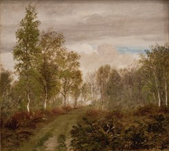 Birch trees at Læso after rain, 1849. Creator: Peter Christian Thamsen Skovgaard.