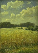 An oat field, 1865-1925. Creator: Hans Michael Therkildsen.