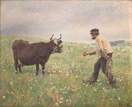 A loose cow, 1890. Creator: Hans Michael Therkildsen.
