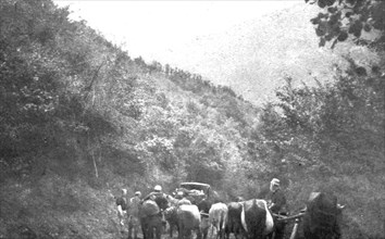'Le repli et l'exode; Sur la route de Veles a Prilep, par le col de la Babouna', 1915 (1924). Creator: R. Marianovitch.