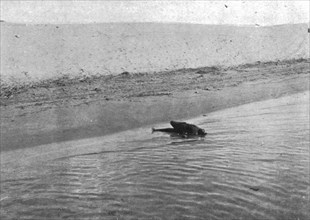 'Sur le Canal de Suez; Un soldat turc tue sur la berge asiatique, au moment ou'il..., 1915 (1924). Creator: Unknown.