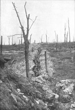 'A la division Mangin; Une section en reserve au bois de la Caillette, repris..., 1916 (1924) Creator: Unknown.