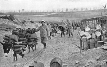 'A L'arriere de Verdun; D'utiles auxiliaires a quatre pattes: les petits anes..., 1916 (1924) Creator: Unknown.