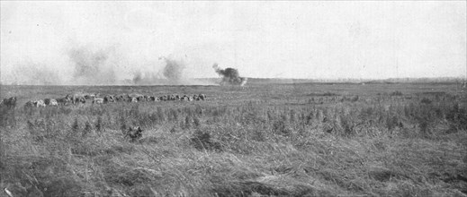 'Le depart de l'attaque; Dans l'apres-midi du Ist juillet, une batterie francaise..., 1916 (1924) Creator: Unknown.