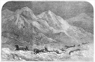 Snowstorm in Armenia - Dr. Sandwith and his Party crossing the Allah-Akbar Mountain, on their way fr Creator: Unknown.