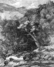 Ravine in Glen Tilt - painted by W. Bennett - from the Exhibition of the New Society of Painters i Creator: Edmund Evans.