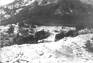 'Sur les fronts Italiens du Carso et du Trentin; le general Cadorna, a dos de mulet et suivi...,1916 Creator: Unknown.