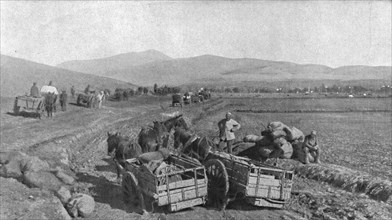 'Apres la prise de Monastir; les difficultes du ravitaillement sur les routes de la vallee..., 1916. Creator: Unknown.