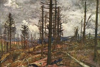 'Le Bois mutile (cote 955, au-dessus de Metzeral)', 1916. Creator: Charles-Jules Duvent.