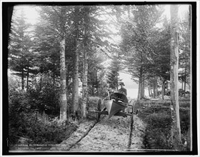 An Adirondack hand cart carry, c1902. Creator: William H. Jackson.