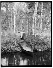 Bartlett's carry, Round Lake, Adirondack Mountains, (1902?). Creator: William H. Jackson.
