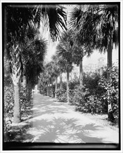 Ocean walk, Palm Beach, Florida, c1902. Creator: William H. Jackson.