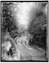Mt. Royal Road, Montreal, between 1890 and 1901. Creator: William H. Jackson.