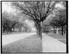 Summit Ave., St. Paul, Minn., c1902. Creator: William H. Jackson.