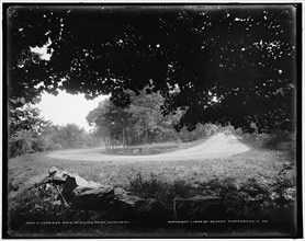 A carriage road, Mt. Royal Park, Montreal, c1900. Creator: William H. Jackson.