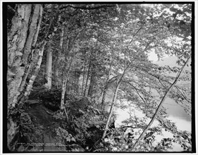 An Adirondack mountain path, c1902. Creator: William H. Jackson.