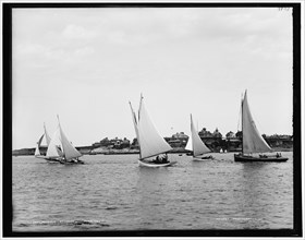 Beverly regatta, 1890 June 28. Creator: Unknown.
