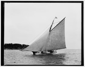 Brenda, between 1880 and 1899. Creator: Unknown.