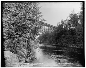 High Bridge, Brodhead's Creek near Spragueville, Pa., between 1890 and 1901. Creator: Unknown.