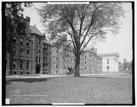 The Middle campus, Brown University, Providence, R.I., c1906. Creator: Unknown.