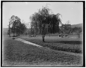 Near Bernardsville, N.J., between 1890 and 1901. Creator: Unknown.