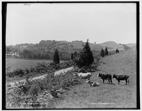 Swartswood Lake, N.J., between 1890 and 1901. Creator: Unknown.