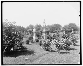 Cedar Grove Cemetery, near Flushing, Long Island, N.Y., c1905. Creator: Unknown.