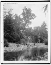 Fishing in the Catskill Mts., N.Y., (1902?). Creator: Unknown.