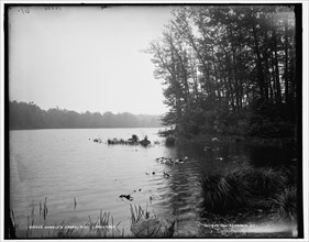Howell's Lakes, N.J., lower lake, between 1890 and 1901. Creator: Unknown.