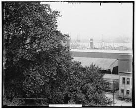 Holland American docks, Hoboken, N.J., between 1900 and 1915. Creator: Unknown.