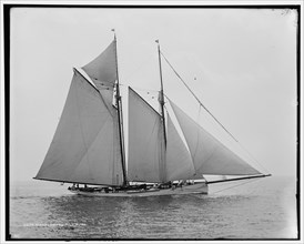 Mayflower, 1891 July 16. Creator: Unknown.