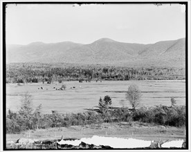 Presidential Range and Crawford Notch from golf links, White Mountains, N.H., between 1890 and 1901. Creator: Unknown.