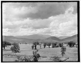 Mt. Washington from Intervale, White Mountains, between 1890 and 1901. Creator: Unknown.