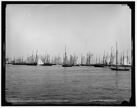 N.Y.Y.C. fleet, Newport harbor, 1887 Aug 5. Creator: Unknown.