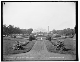 Flower beds in Lincoln Park, Chicago, 1900. Creator: Unknown.