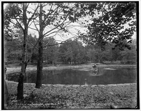 The Lake, Nay Aug Park, Scranton, Pa., between 1890 and 1901. Creator: Unknown.