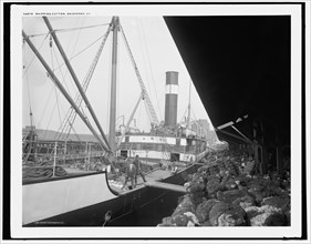 Shipping cotton, Savannah, Ga., between 1890 and 1901. Creator: Unknown.