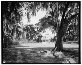 Ashley Hall, Magnolia-on-the-Ashley, Charleston, S.C., c1907. Creator: Unknown.