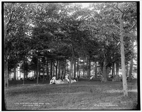 In the grove at Poland Spring Hotel, South Poland, Maine, c1900. Creator: Unknown.