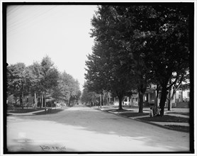 South Weadock Avenue, Saginaw, Mich., c1908. Creator: Unknown.