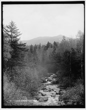 Ammonoosuc River and Mount Monroe, Mount Pleasant farm, White Mountains, between 1890 and 1901. Creator: Unknown.