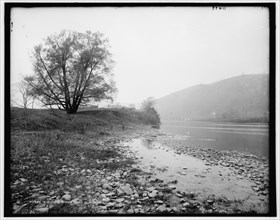 Chemung River near Elmira, N.Y., c1900. Creator: Unknown.