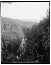 Up the Analomink from high rock, Henryville, Pa., between 1890 and 1901. Creator: Unknown.