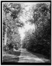 Marquette, Mich., the drive, between 1880 and 1899. Creator: Unknown.